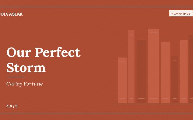 Carley Fortune: Our Perfect Storm — nászút a legjobb baráttal