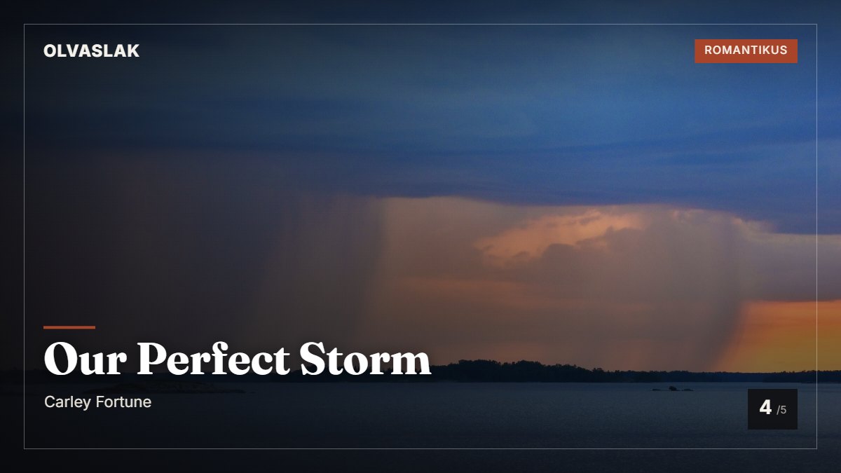Our Perfect Storm borítókép